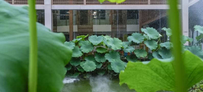悦希顿民宿(青城山店)图片