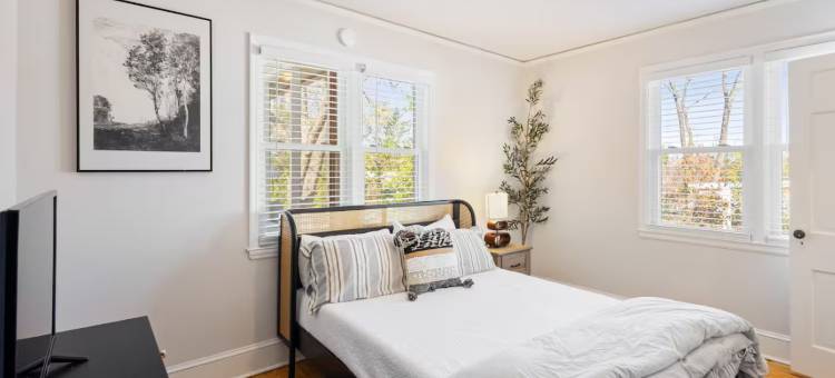 Augusta's Timeless Treasure图片