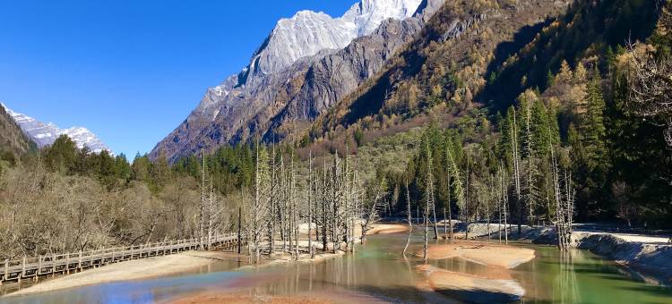 巴郎部落·云上艺宿(四姑娘山景区店)图片
