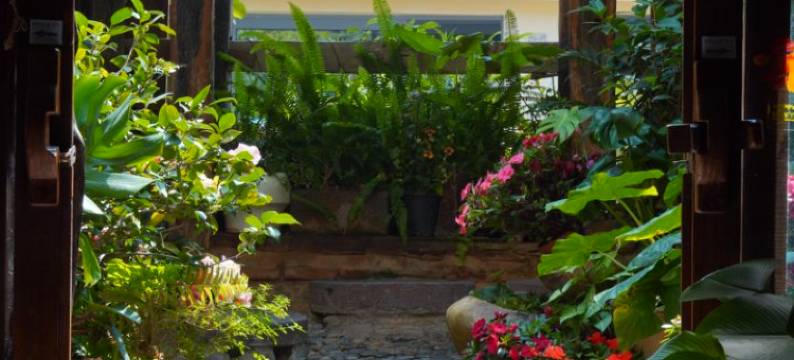 西双版纳云庐莲心居民宿图片