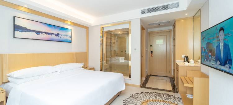 维也纳酒店(广州花都融创文旅城热雪奇迹店)图片