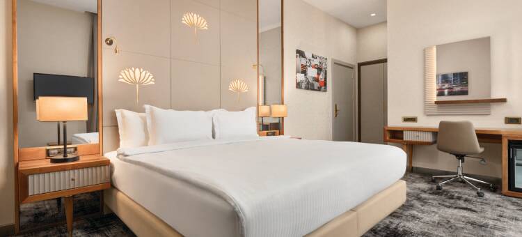 伊斯坦布尔托普卡匹爵怡温德姆酒店(Tryp by Wyndham Istanbul Topkapi)图片