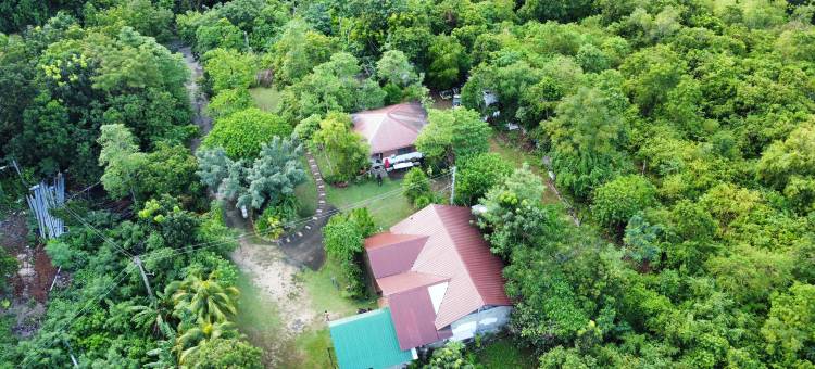 Sequor Palm Villa图片