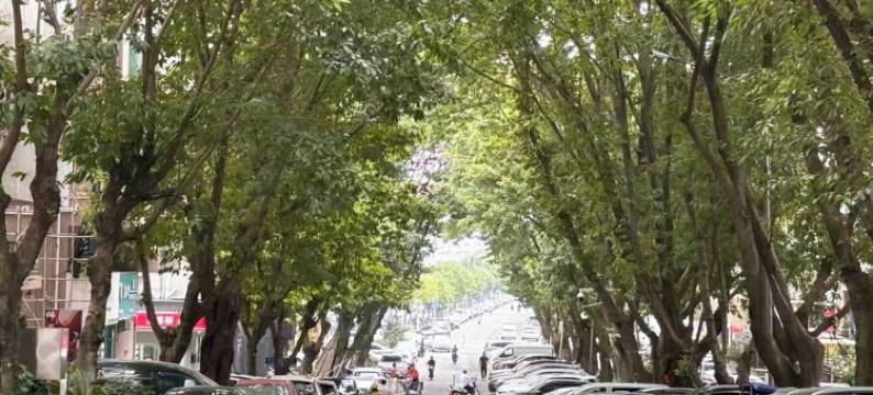 太沙公寓(东莞金洲梁屋店)图片