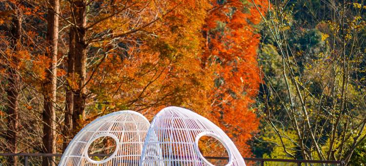 绍兴新昌安岚图片