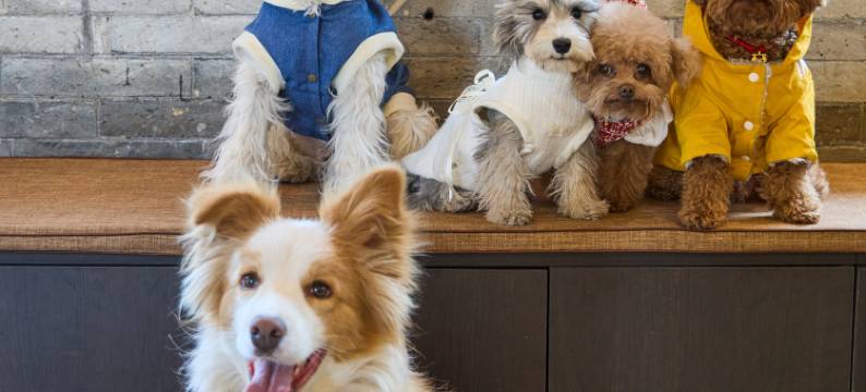 花筑·演真居四合院(大同古城鼓楼店)图片