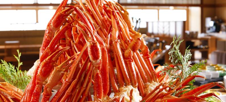 福井龟之井酒店(KAMENOI HOTEL FUKUI)图片