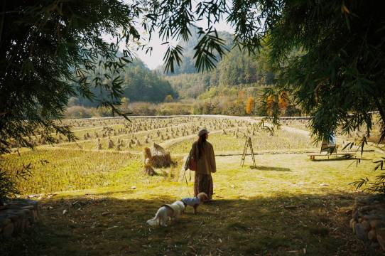 ANAPANA安纳班纳·泰宁图片