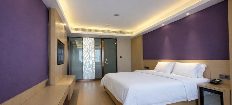 麗枫酒店(深圳龙华汽车站清湖地铁站店)图片