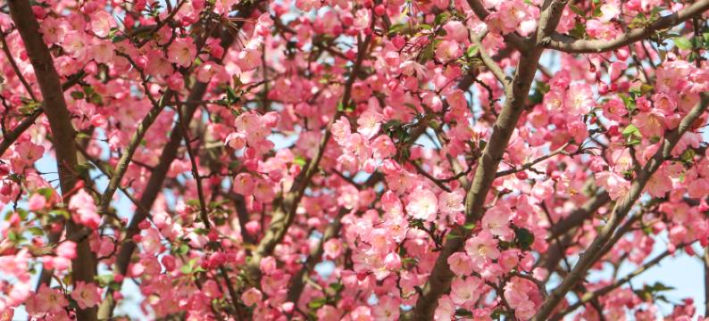 嘉兴希尔顿逸林酒店图片