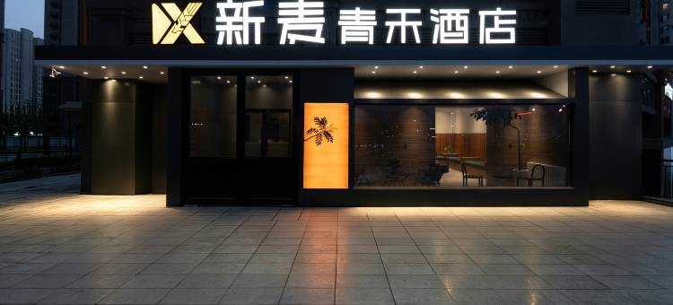 新麦青禾酒店(乌鲁木齐国际会展中心吾悦广场店)图片