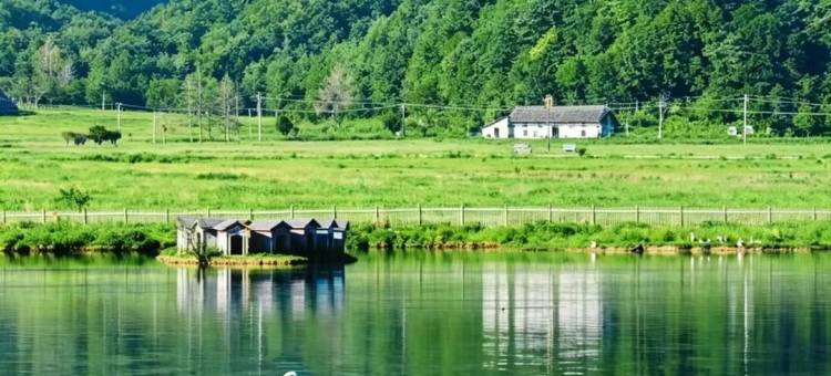 云起·见山|Retreat·度假美宿(神农架木鱼镇店)图片