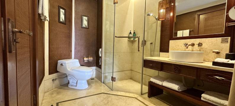 重庆天赐温泉度假酒店图片