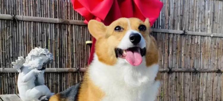 花筑·一丁乡舍民宿(森林公园店)图片