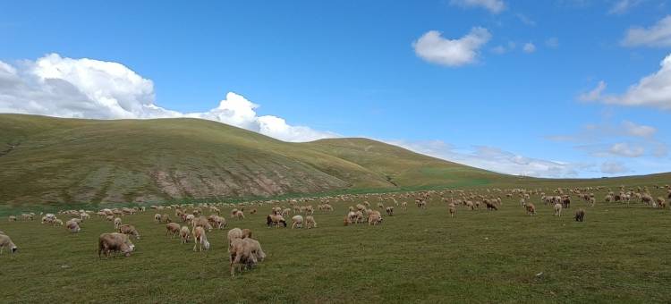 额尔古纳古纳情度假村图片