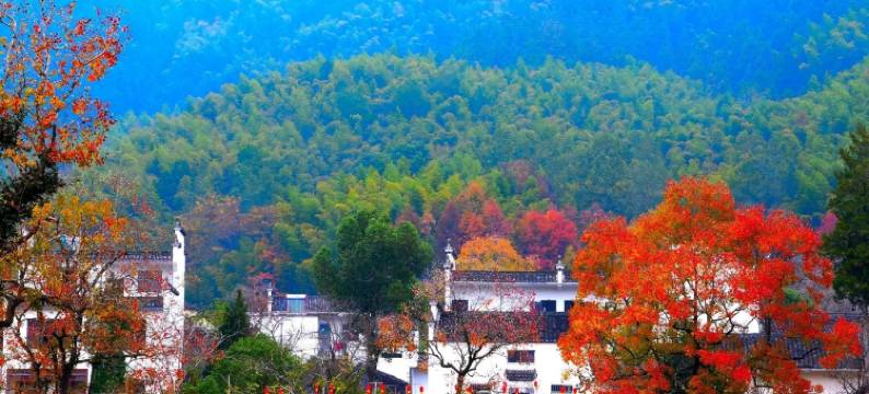 碧山·嘻遇黄山宿·田园亲子民宿图片