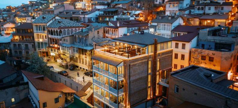 第比利斯酒店(TbiliSee Hotel)图片