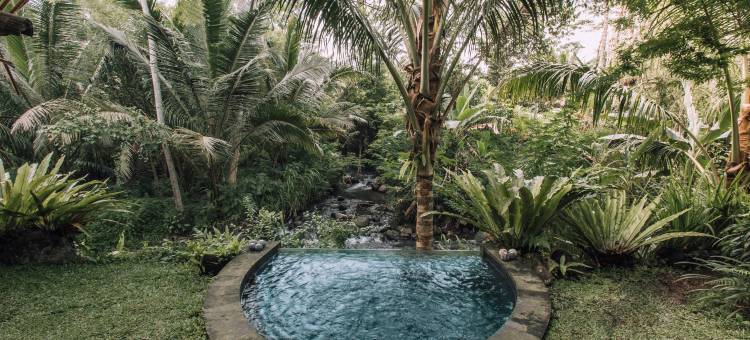 巴厘岛隐居生态竹屋(Hideout Eco Bamboo House Bali)图片