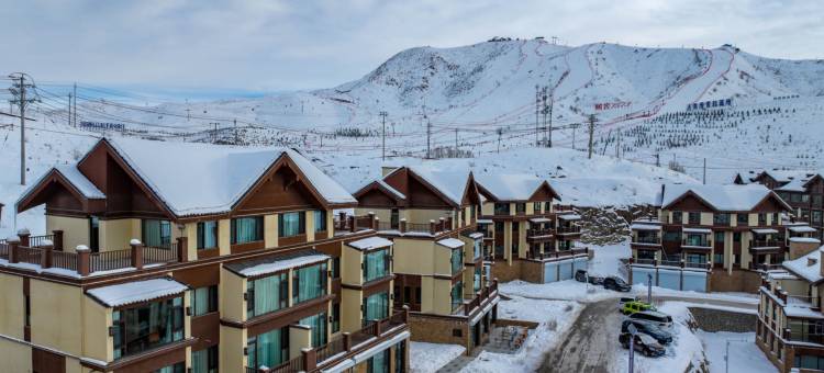 阿勒泰一念山涧民宿(将军山国际滑雪场店)图片