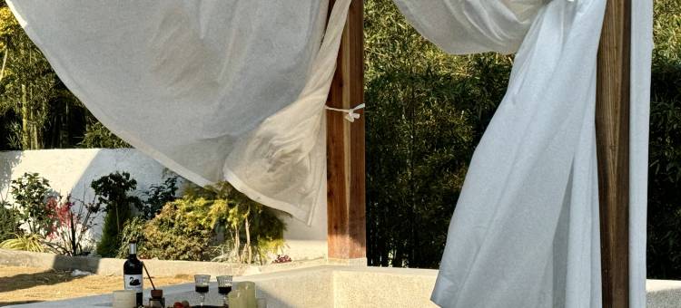 栖桐·星空泳池·望野温泉林下度假别院图片