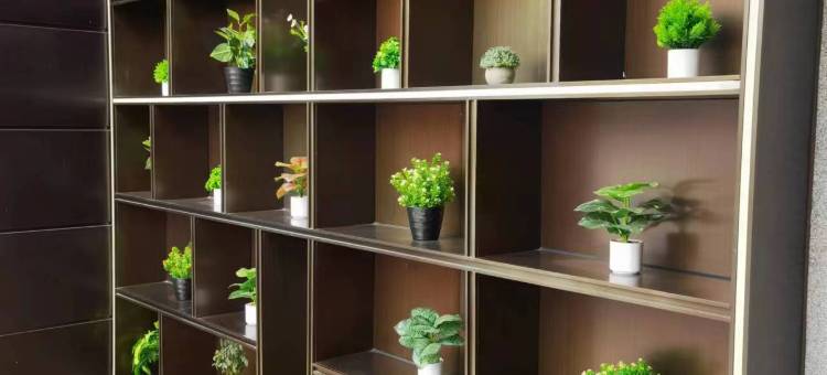 明悦酒店(宁波栎社机场店)图片