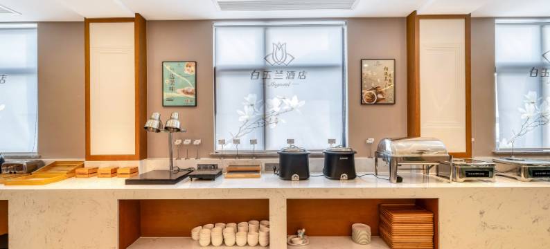 白玉兰酒店(上海奉贤新四平公路店)图片