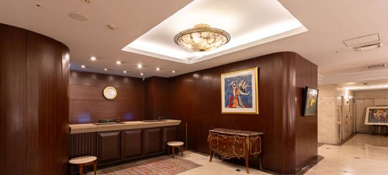 新大阪心斋桥酒店(New Osaka Hotel Shinsaibashi)图片