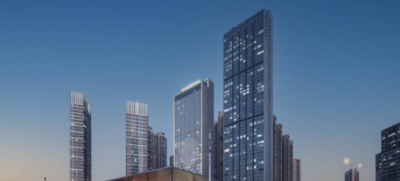 北辰·揽江酒店(北辰国际会议中心店)图片