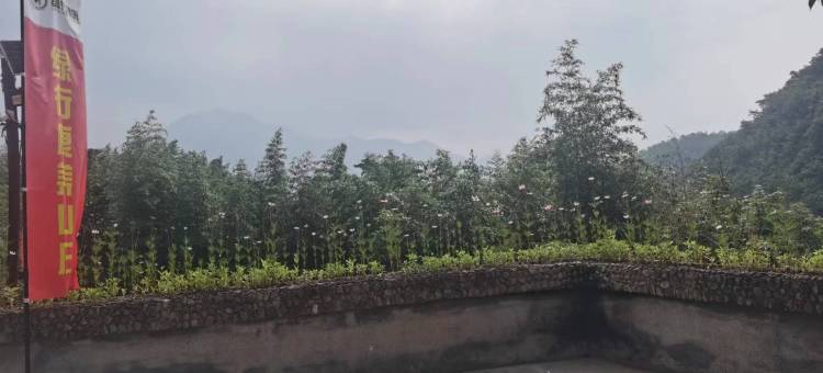 杭州天目山绿行康养山庄图片