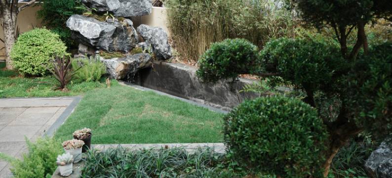 武夷山谁家院图片