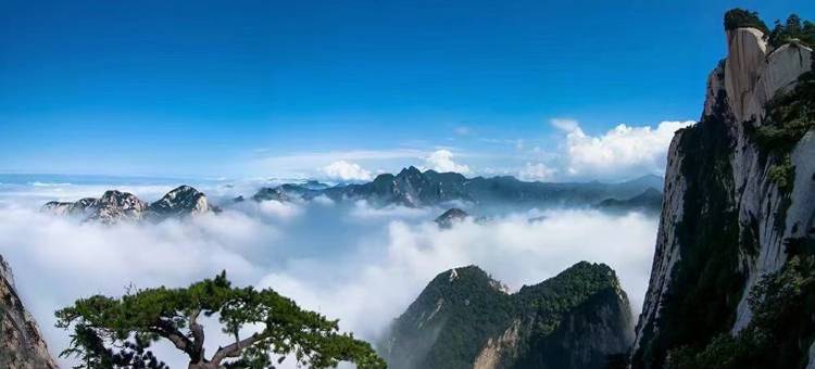 华阴悦肆季酒店(华山北站店)图片