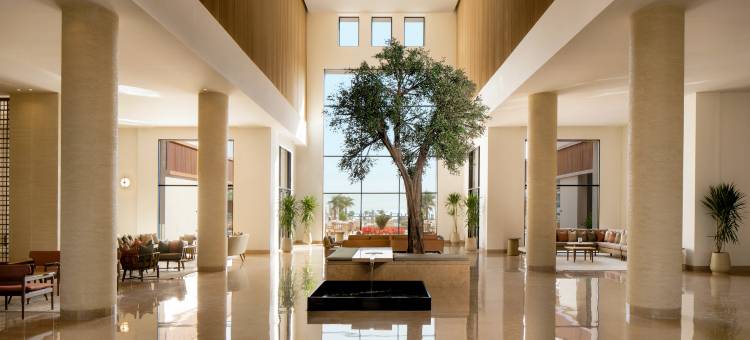 JAZ精英阿玛拉(Jaz Elite Amara)图片