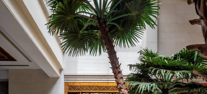 琼海博鳌亚洲论坛金海岸大酒店图片