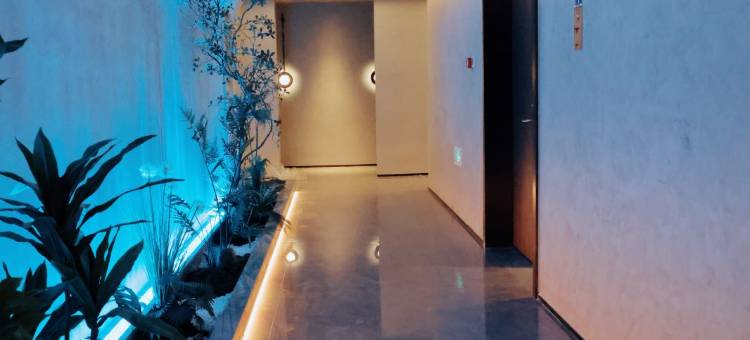 淮南凤台世纪缘国际酒店图片