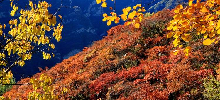 花筑·北京长流水一号院民宿(房山周口店店)图片