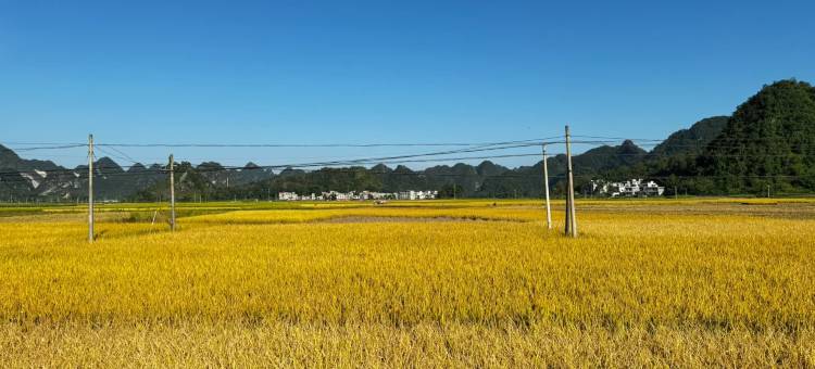 丽呈熹玥•嘉贝时光(广州番禺亚运城店)图片