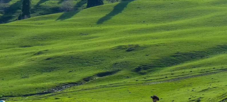 云屿山居民宿(那拉提草原店)图片