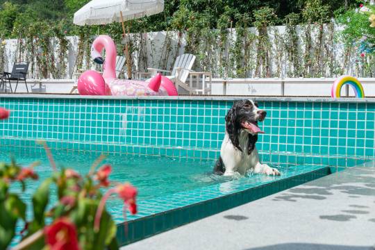 安吉素隐Su·Inn设计师·竹林私汤温泉度假美宿图片