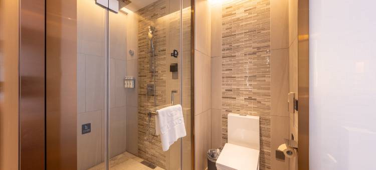 麗枫酒店(兰州中心高铁西客站店)图片