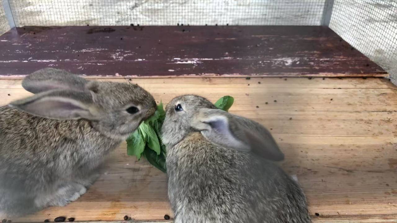 遂昌星河·揽月民宿图片