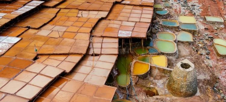 察雅珊瑚酒店图片