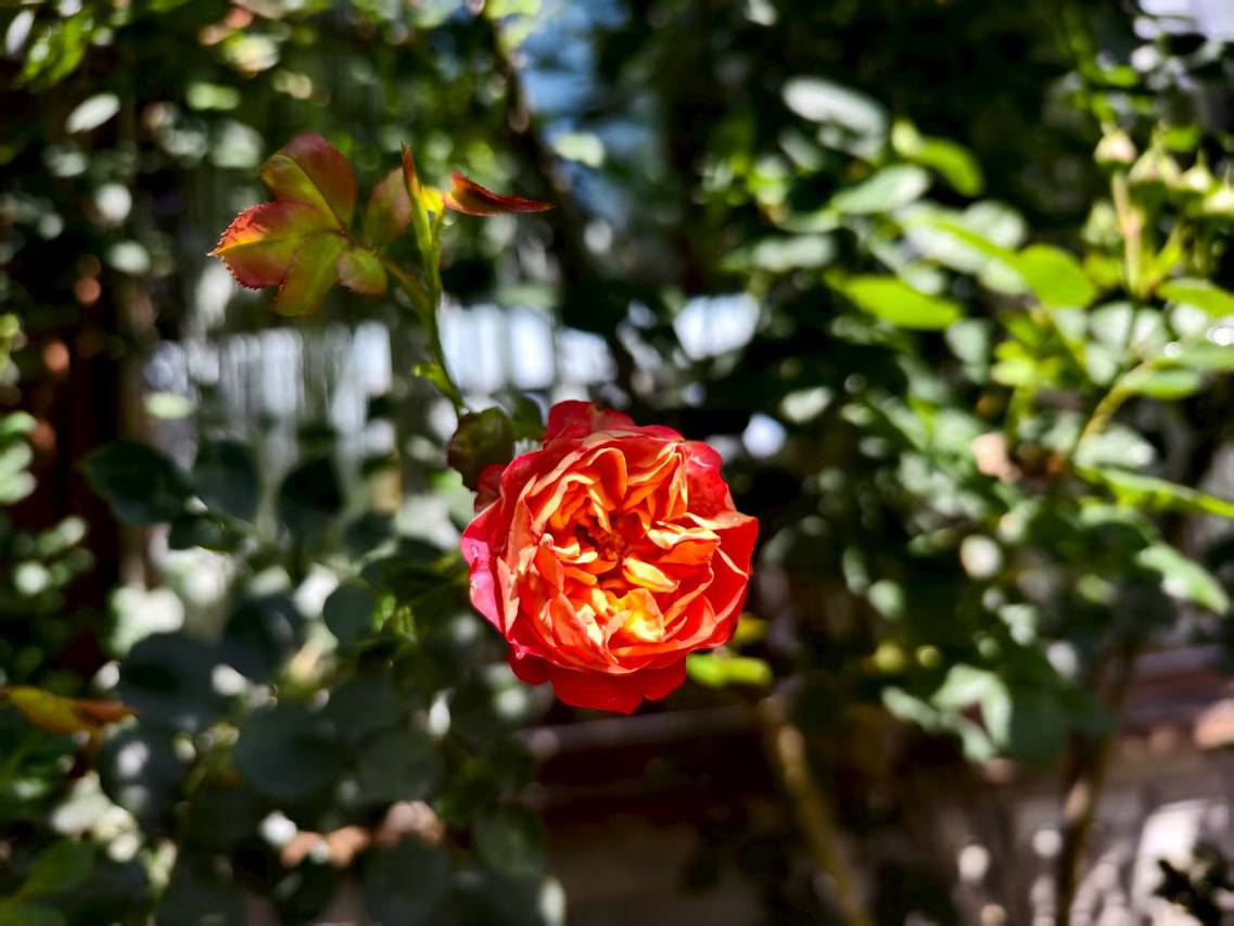 八美别院(八美镇店)图片