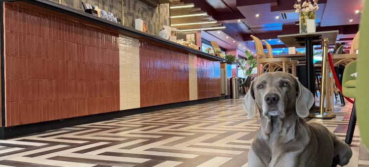 罗马奇尼奇塔美居酒店(Mercure Roma Cinecittà)图片