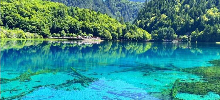九寨沟悠游仙居MOUNTAIN•FOREST•VIEW•180°青山林海氧吧疗愈酒店图片