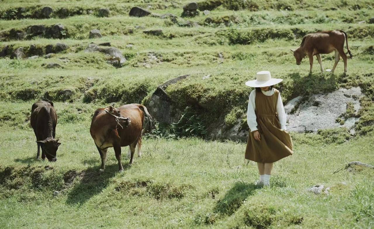 村头芳 · 若谷山房图片