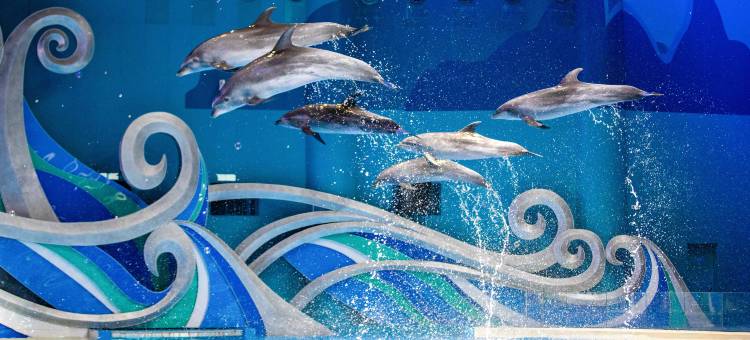 桂林融创施柏阁酒店图片