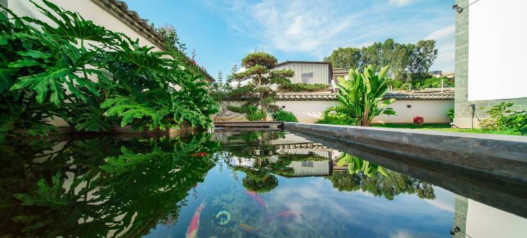 建水绍康紫陶别院(紫陶街店)图片