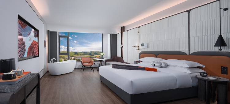 朵兰达V酒店(阿坝县店)图片