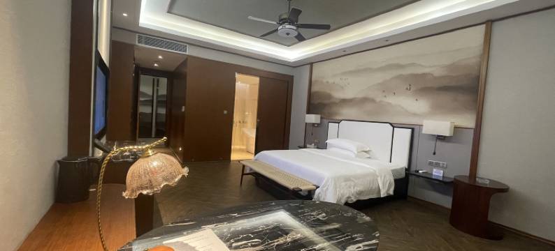 阳西滨海咸水矿温泉酒店图片