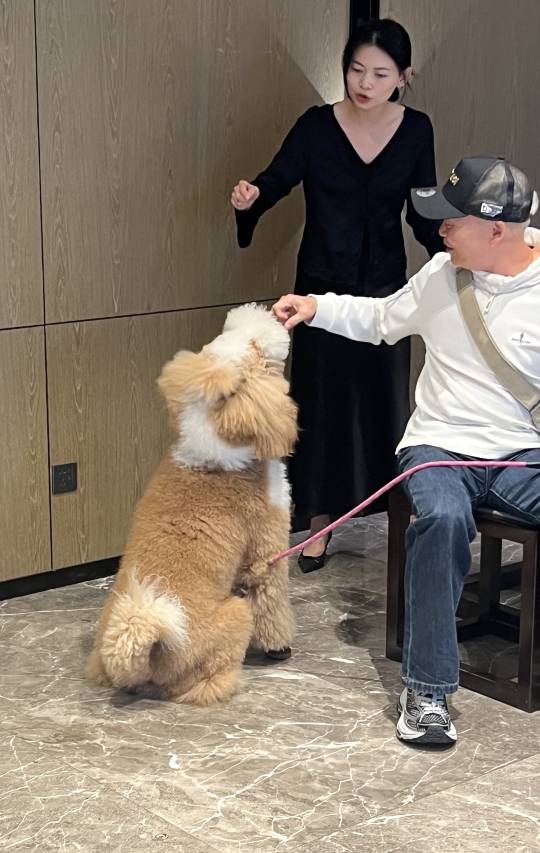 宜尚酒店(河源坚基万达广场店)图片